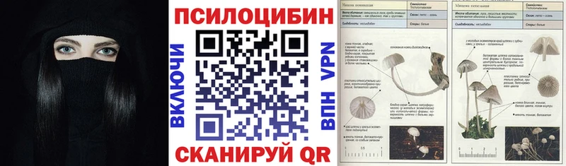 цены   гидра вход  Псилоцибиновые грибы Cubensis  Рыбинск 